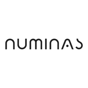 numinas